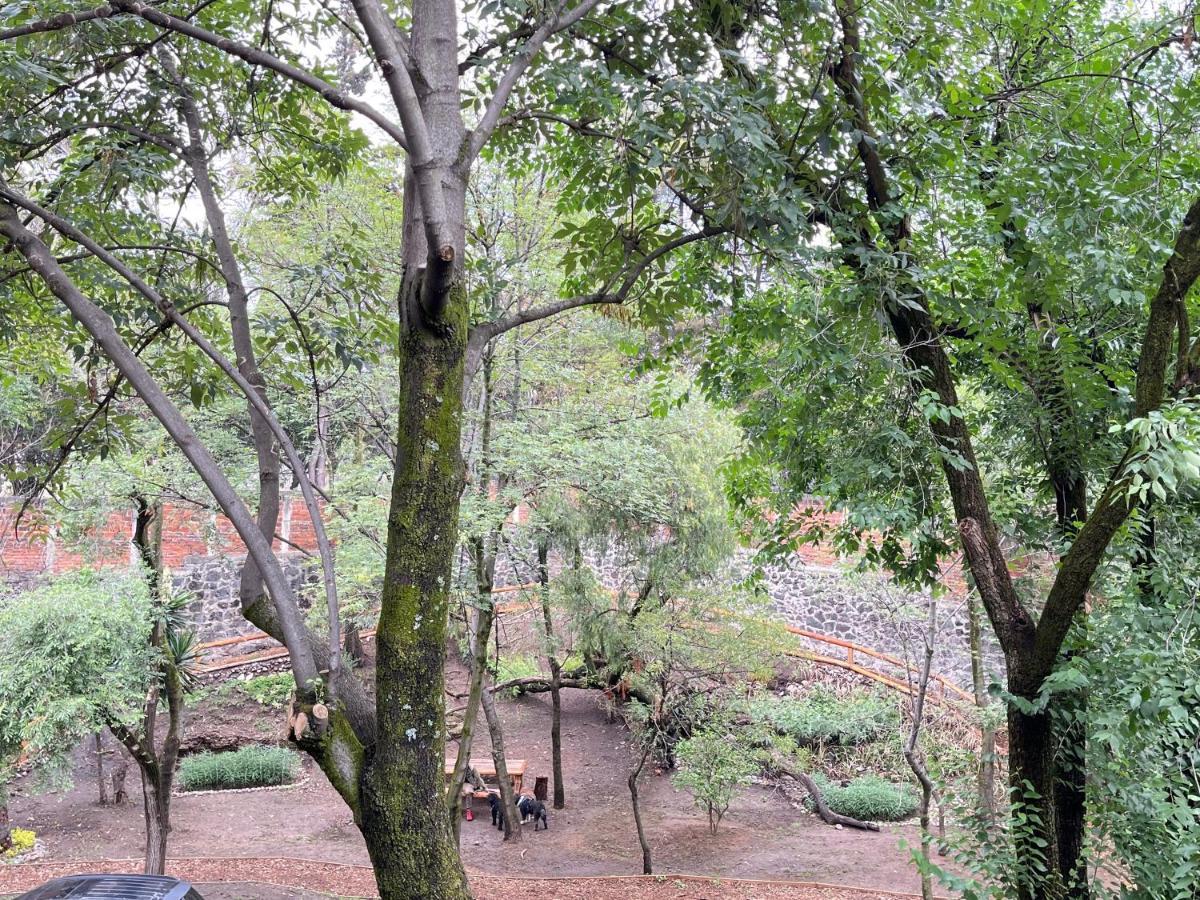 Villa Mi Refugio San Angel Città del Messico Esterno foto