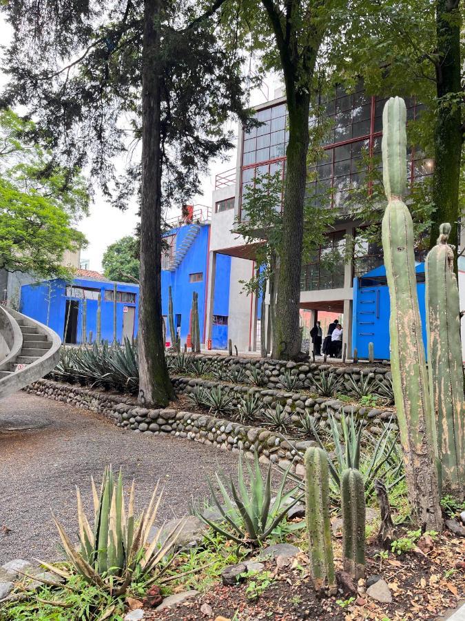 Villa Mi Refugio San Angel Città del Messico Esterno foto