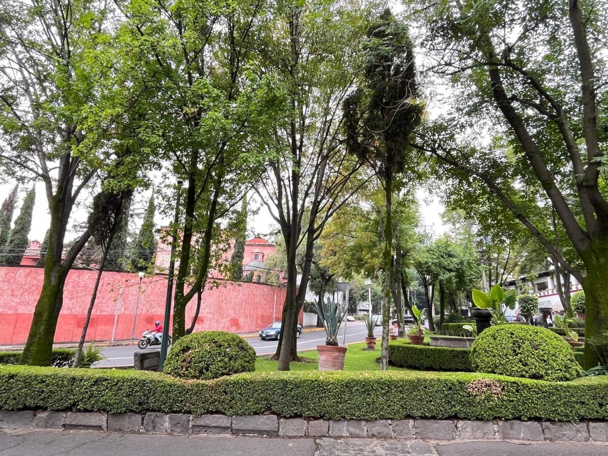 Villa Mi Refugio San Angel Città del Messico Esterno foto