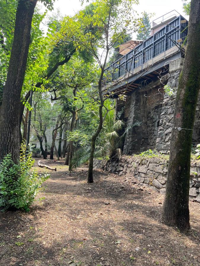 Villa Mi Refugio San Angel Città del Messico Esterno foto